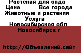 Растения для сада › Цена ­ 200 - Все города Животные и растения » Услуги   . Новосибирская обл.,Новосибирск г.